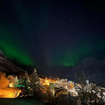 Auroraheim *